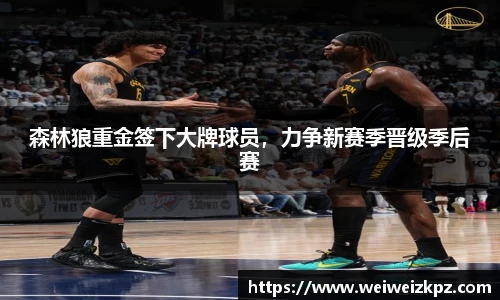 森林狼重金签下大牌球员，力争新赛季晋级季后赛